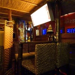 Zöld Teknős Barlangja - Native Teaház Budapest - Belső