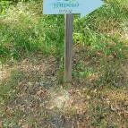 Zöldülő Terasz Hegymagas - Egyéb