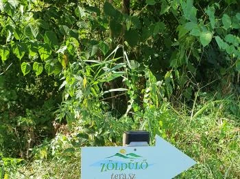 Zöldülő Terasz Hegymagas