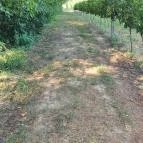 Zöldülő Terasz Hegymagas - Egyéb