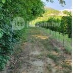 Zöldülő Terasz Hegymagas - Egyéb