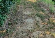 Zöldülő Terasz Hegymagas