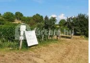 Zöldülő Terasz Hegymagas