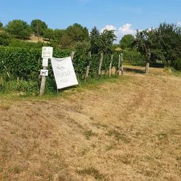 Zöldülő Terasz Hegymagas - Egyéb