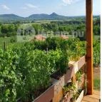 Zöldülő Terasz Hegymagas - Egyéb