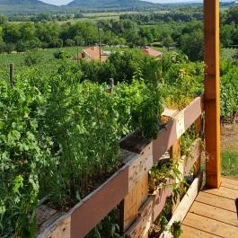 Zöldülő Terasz Hegymagas - Egyéb