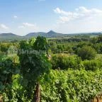 Zöldülő Terasz Hegymagas - Egyéb