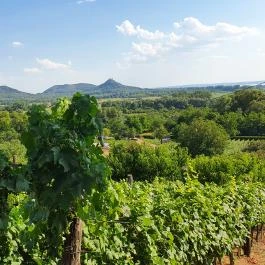 Zöldülő Terasz Hegymagas - Egyéb