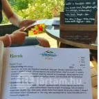 Zöldülő Terasz Hegymagas - Egyéb