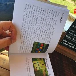 Zöldülő Terasz Hegymagas - Egyéb