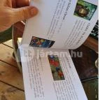 Zöldülő Terasz Hegymagas - Egyéb