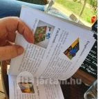 Zöldülő Terasz Hegymagas - Egyéb