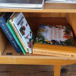 Zöldülő Terasz Hegymagas - Egyéb