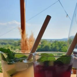 Zöldülő Terasz Hegymagas - Egyéb