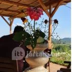 Zöldülő Terasz Hegymagas - Egyéb