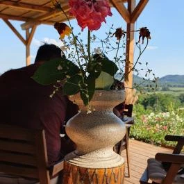 Zöldülő Terasz Hegymagas - Egyéb