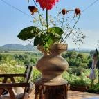 Zöldülő Terasz Hegymagas - Egyéb