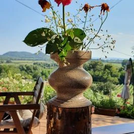 Zöldülő Terasz Hegymagas - Egyéb