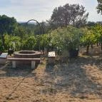 Zöldülő Terasz Hegymagas - Egyéb