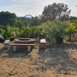 Zöldülő Terasz Hegymagas - Egyéb