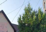 Zsófi Söröző Kistarcsa Zsófi Söröző Kistarcsa