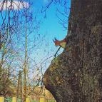 Batthyány Kastélyszálló Zalacsány - Egyéb