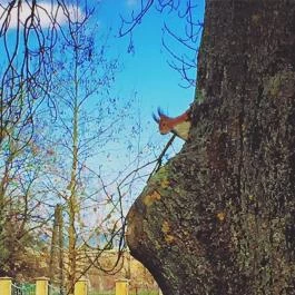 Batthyány Kastélyszálló Zalacsány - Egyéb