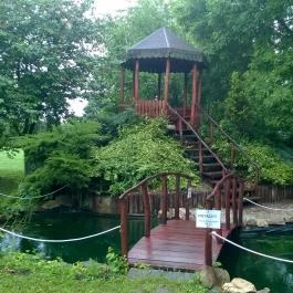 Laci Betyár Fogadó Hajdúszoboszló - Medence/kert