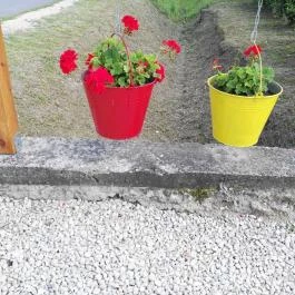 Bakonyi Kiscsillag Vendégház, Bakonybél - Környék