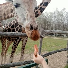 Richter Safari Park Nagykőrös - Egyéb