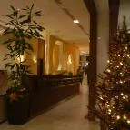 Abacus Business & Wellness Hotel Herceghalom - Belső