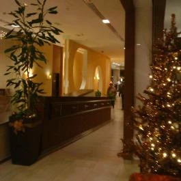 Abacus Business & Wellness Hotel, Herceghalom - Belső