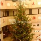 Hotel Írottkő Kőszeg - Belső