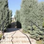 Szent István Hotel Eger - Környék