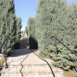 Szent István Hotel Eger - Környék