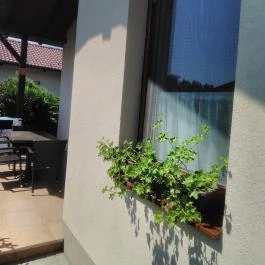 Pandora Zsóry Apartmanok, Mezőkövesd - Medence/kert