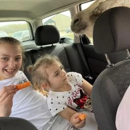 Richter Safari Park Nagykőrös - Egyéb