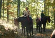 Mathias Lovasudvar Kemence