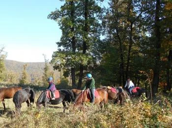 Mathias Lovasudvar Kemence