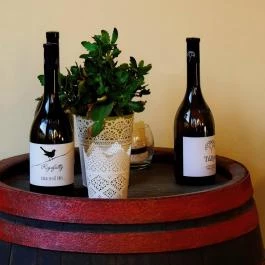 Oroszlános Borhotel & Étterem, Tállya - Belső