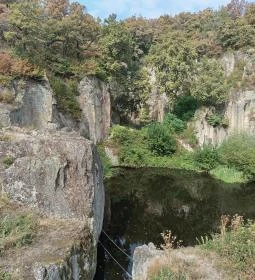 Megyer-hegyi Tengerszem Természetvédelmi Terület