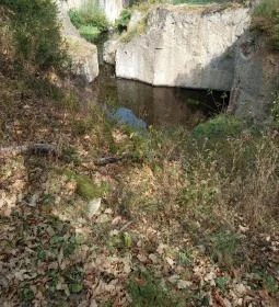 Megyer-hegyi Tengerszem Természetvédelmi Terület