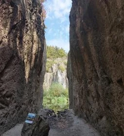 Megyer-hegyi Tengerszem Természetvédelmi Terület