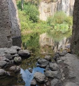 Megyer-hegyi Tengerszem Természetvédelmi Terület