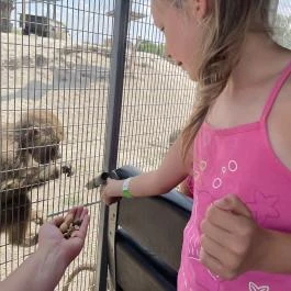 Richter Safari Park Nagykőrös - Egyéb
