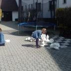 Hotel Piroska Bük, Bükfürd? - Környék