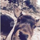 Grandhotel Galya Galyatető - Környék