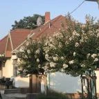 Aquasol Resort Mosonmagyaróvár - Medence/kert