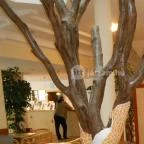 Hotel Kalma Hévíz - Belső