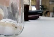 Múzeumkert Étterem & Koktél Bár Esztergom